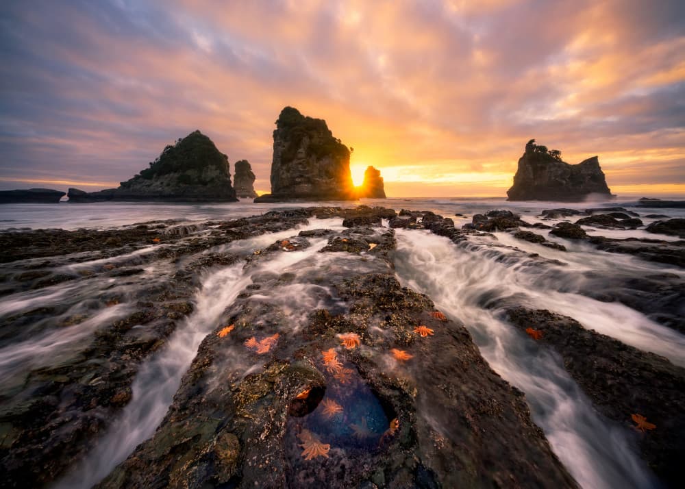 Golden Hour Coastal Flow by Jingshu Zhu — canvas wall art
