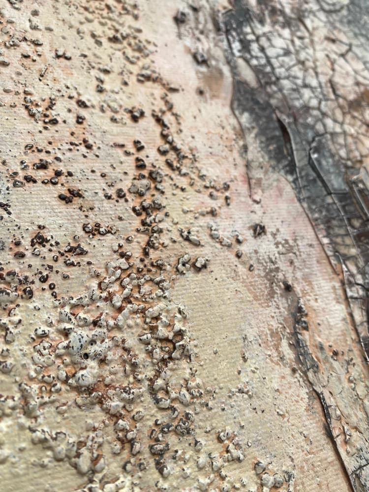 Weathered Organic Textures by Gabriela Aleksandra Szuba — canvas wall art