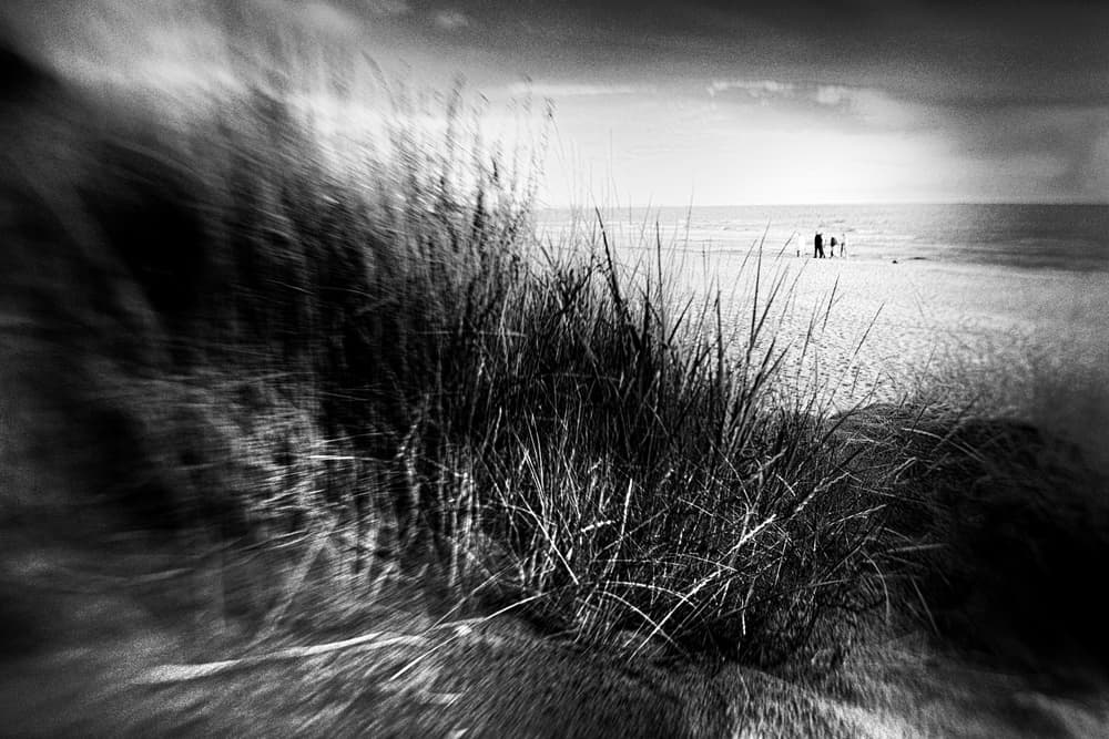 Windswept Dune Grass by Gustav Davidsson — canvas wall art