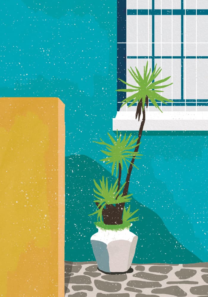 Sunny Teal Wall Plant by Aylin Demir — canvas wall art