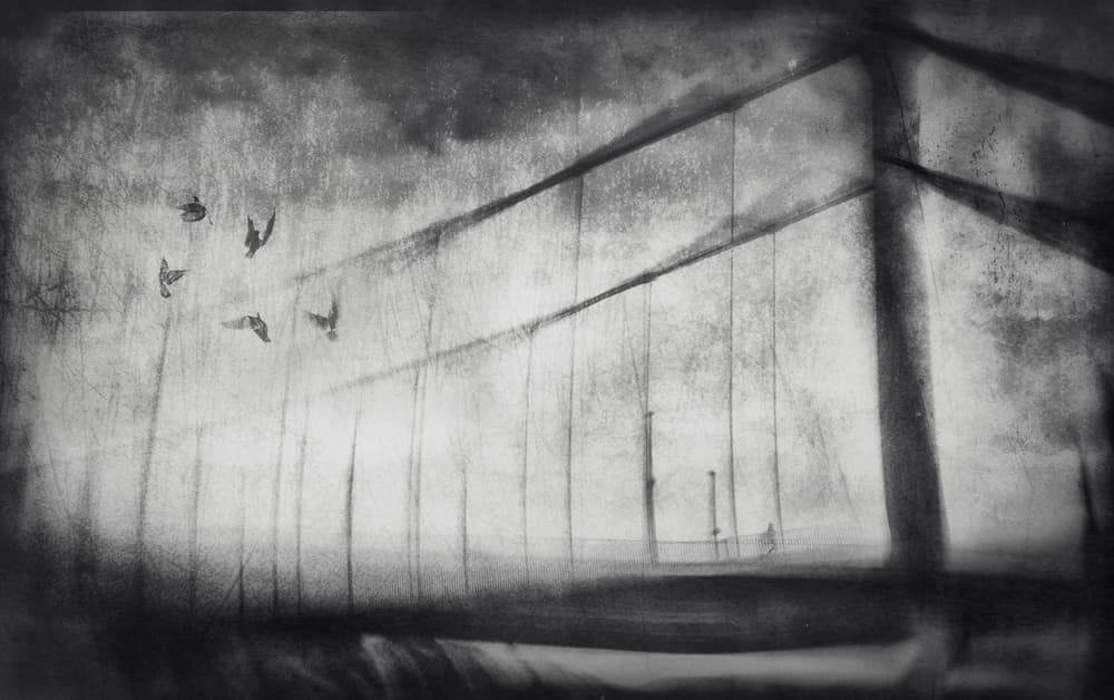 Misty Bridge Birds by Krisztina Lacz — canvas wall art