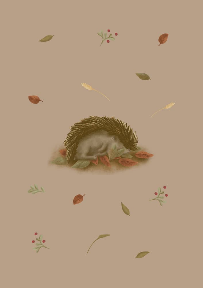 Cozy Autumn Nap by Aminah Eleonora — canvas wall art