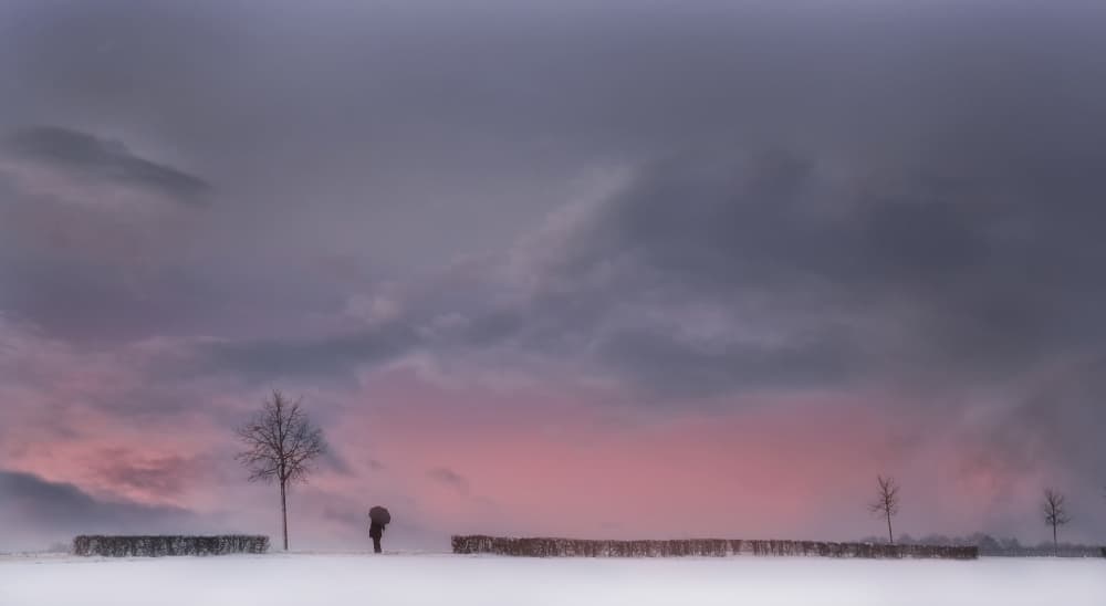 Winter Solitude Pink Sky by Lou Urlings — canvas wall art