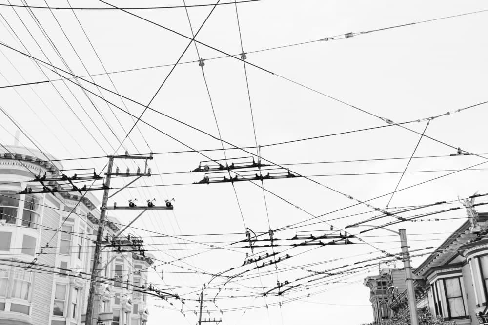 Tangled City Wires by Bethany Young — canvas wall art