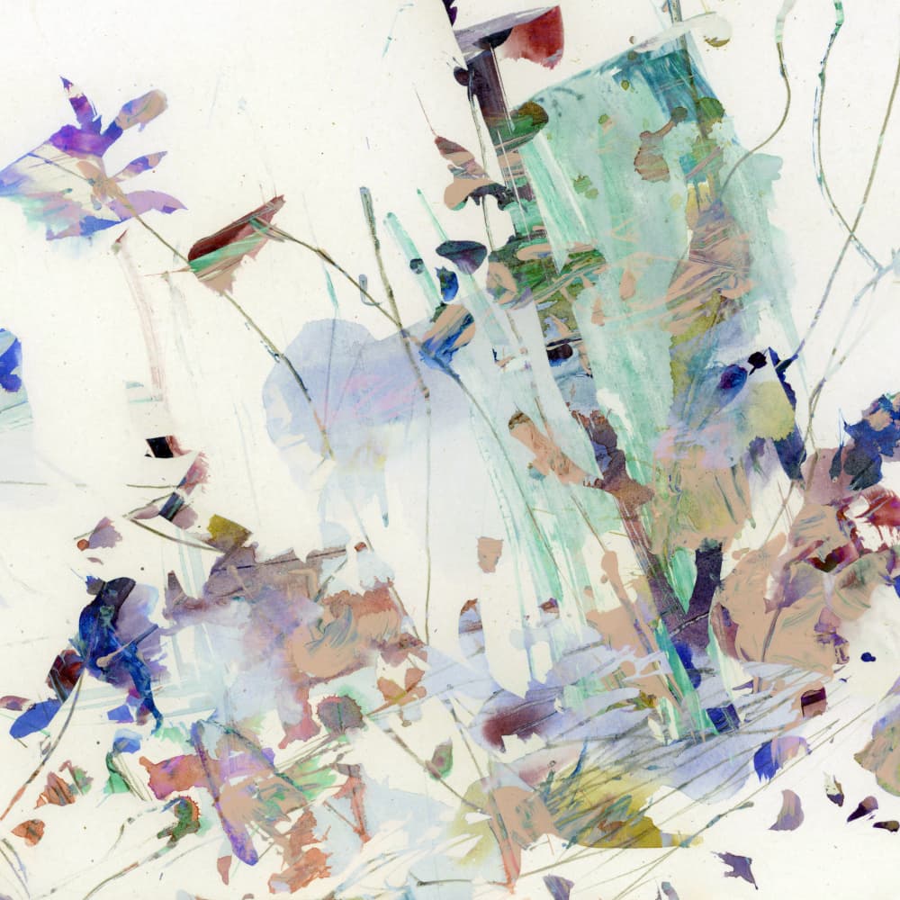 Wild Blooms by Dan Hobday — canvas wall art