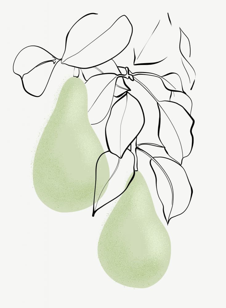 Green Pears Botanical Art by Rosana Laiz Blursbyai — canvas wall art