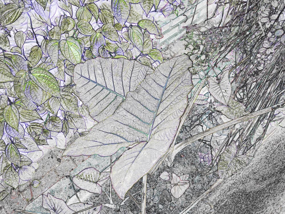 Lush Botanical Sketch by Santhosh ch — canvas wall art