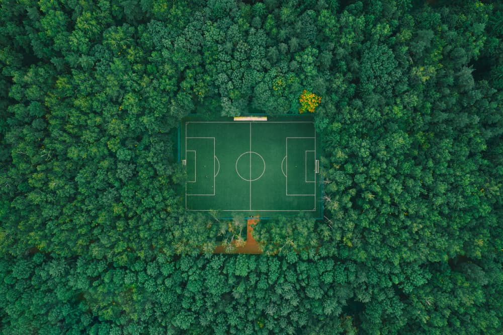 Forest Football Field by Carmine Chiriacò — canvas wall art