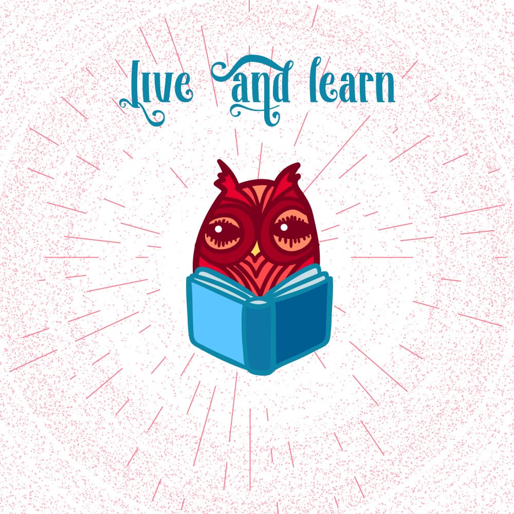 Wise Owl Reading Book by Marika Barsrsind — canvas wall art