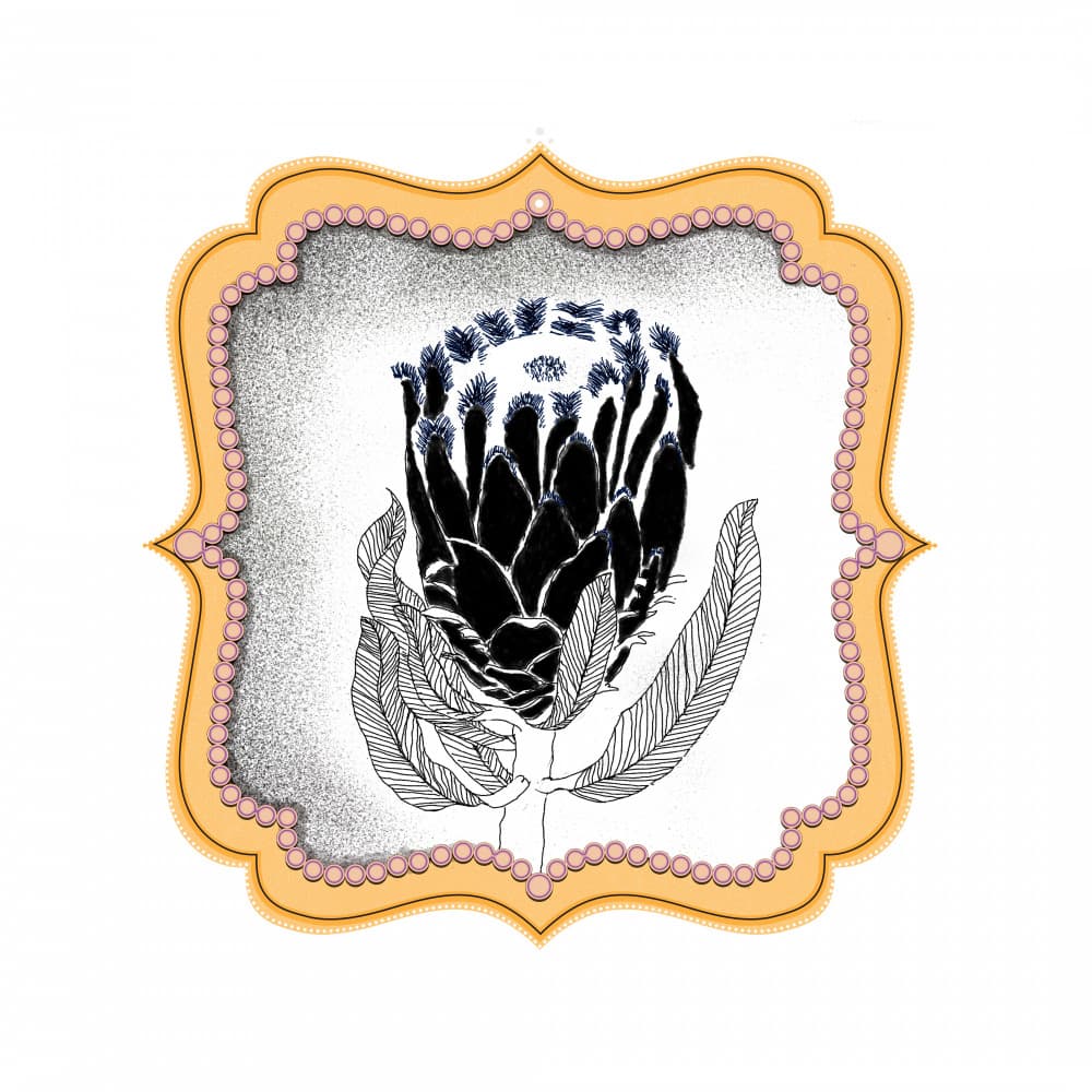 Gleaming Protea Frame by XHOZUCAN — canvas wall art