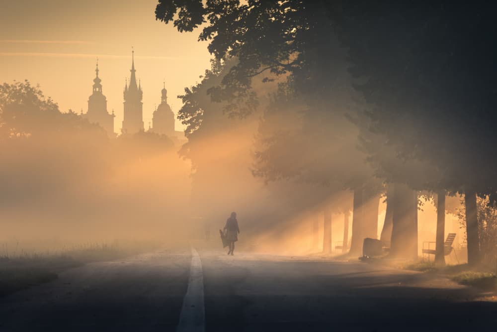 Golden Morning Fog City by Karol Nienartowicz — canvas wall art