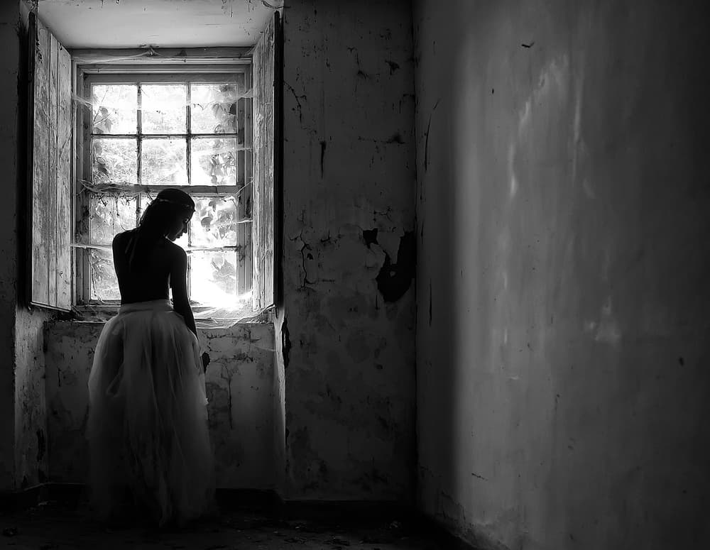 Graceful Window Light by Josefina Melo — canvas wall art
