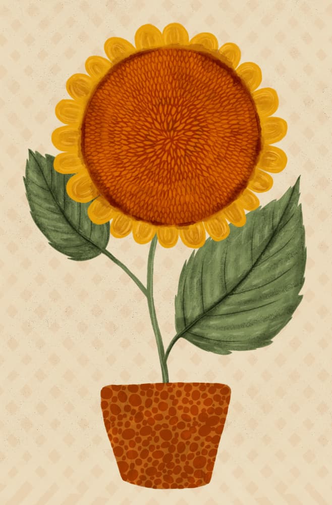 Sunny Potted Sunflower by EMELIEmaria — canvas wall art