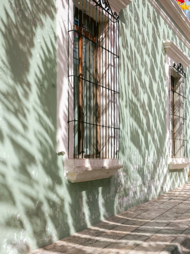 Greens of Oaxaca | Mexico travel photography by Raisa Zwart — canvas wall art