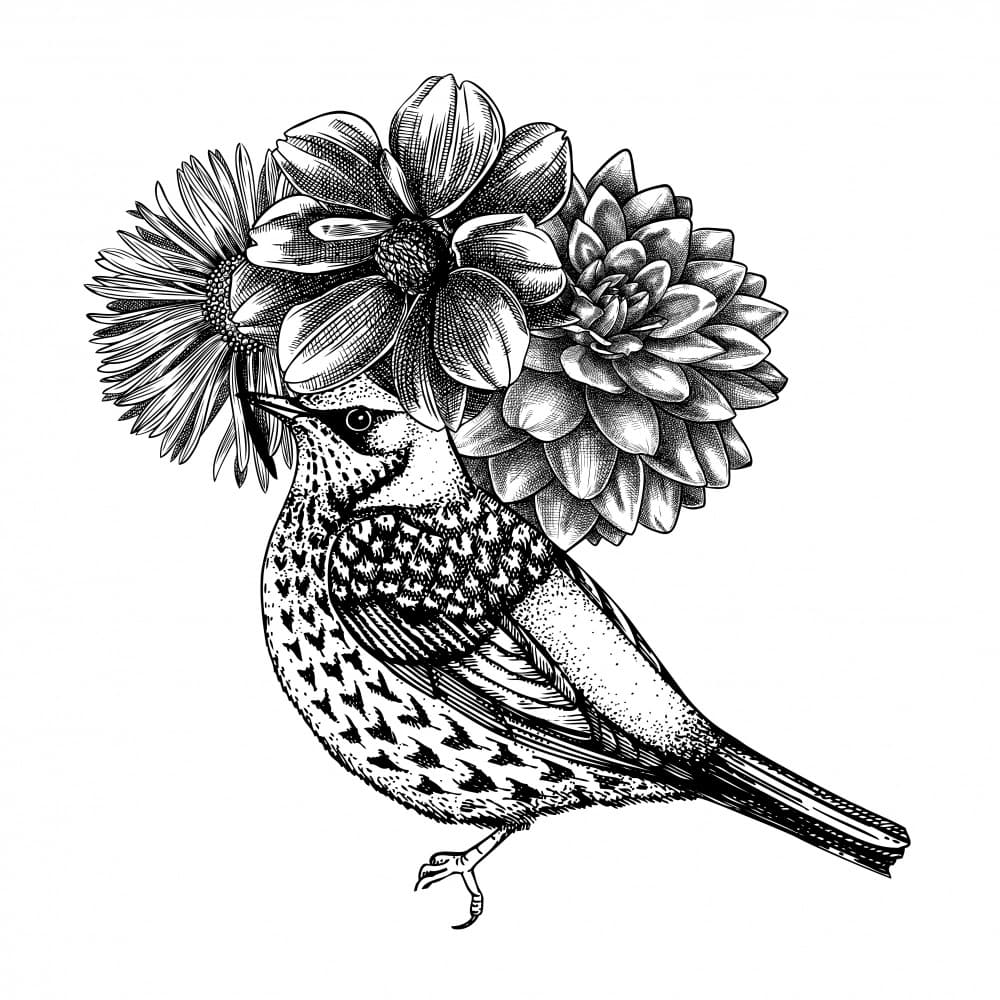 Elegant Floral Bird by Yevheniia Lytvynovych — canvas wall art