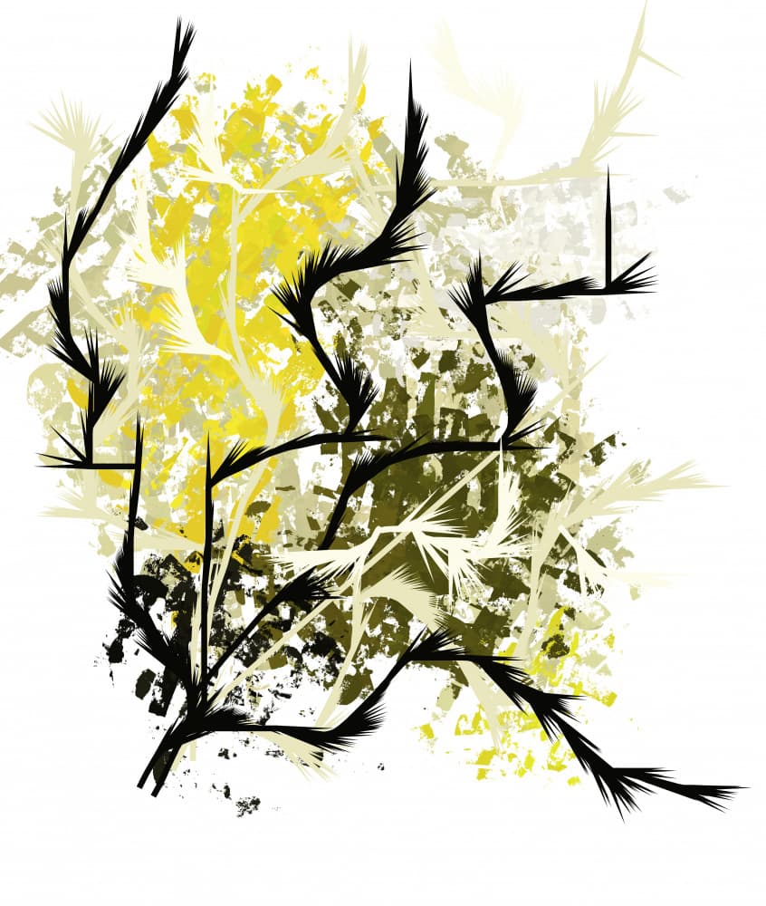 Sharp Spiked Branches by Pelin Atilla — canvas wall art