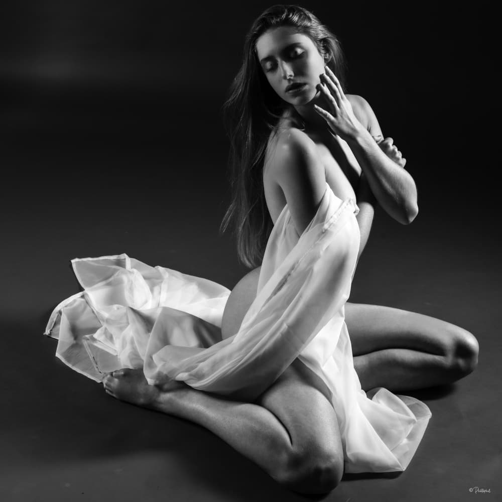 Graceful Draped Form by PHILIPPE GODFROID — canvas wall art