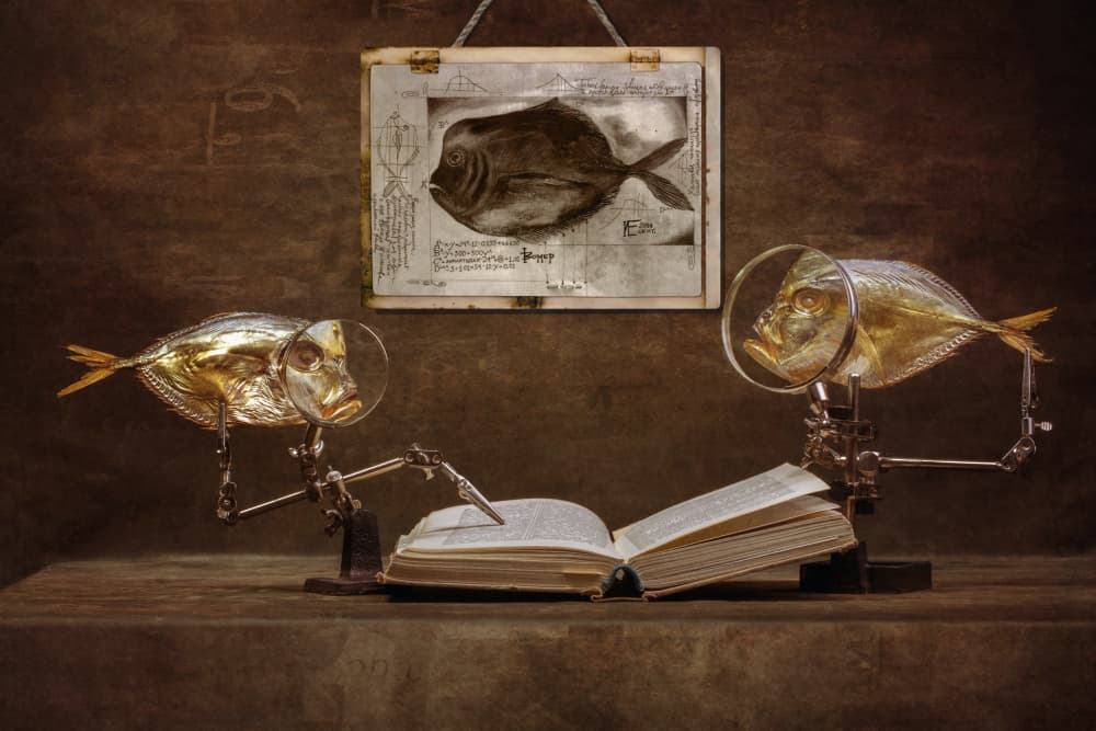Curious Fish Scholars by Brig Barkow — canvas wall art