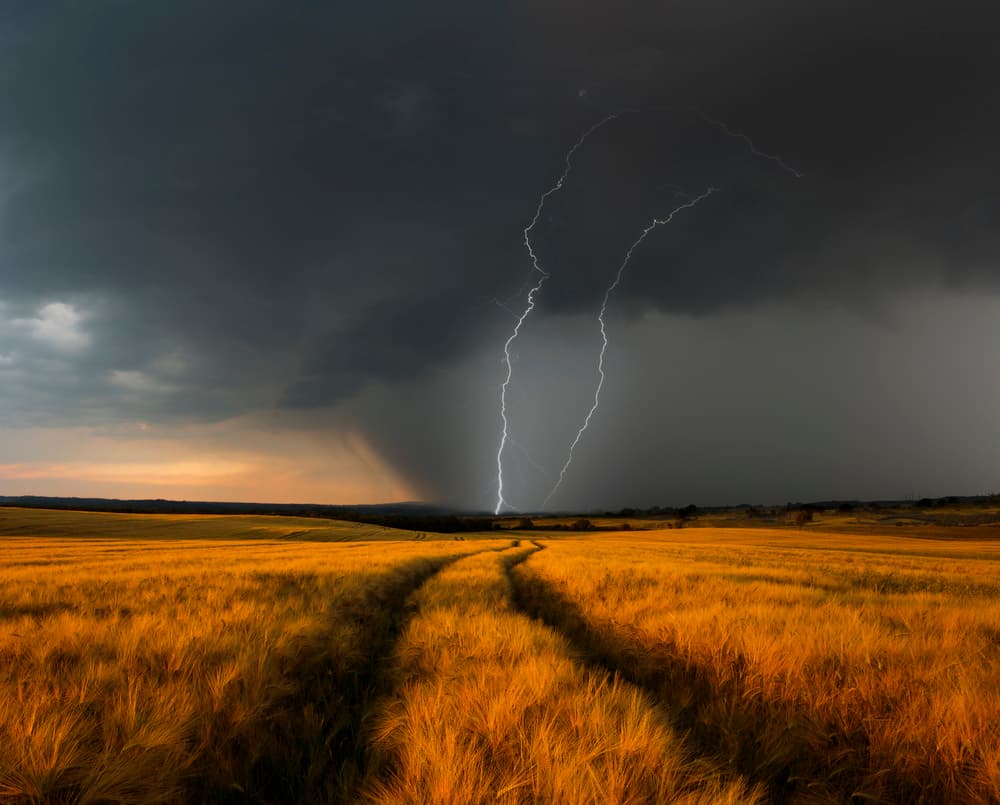 Lightning Over Golden Field by Nicolas Schumacher — canvas wall art