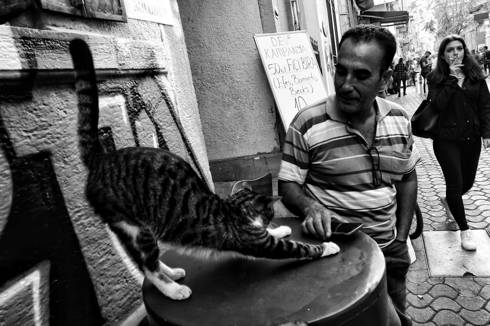 Man and Street Cat by Ali Ayer — canvas wall art