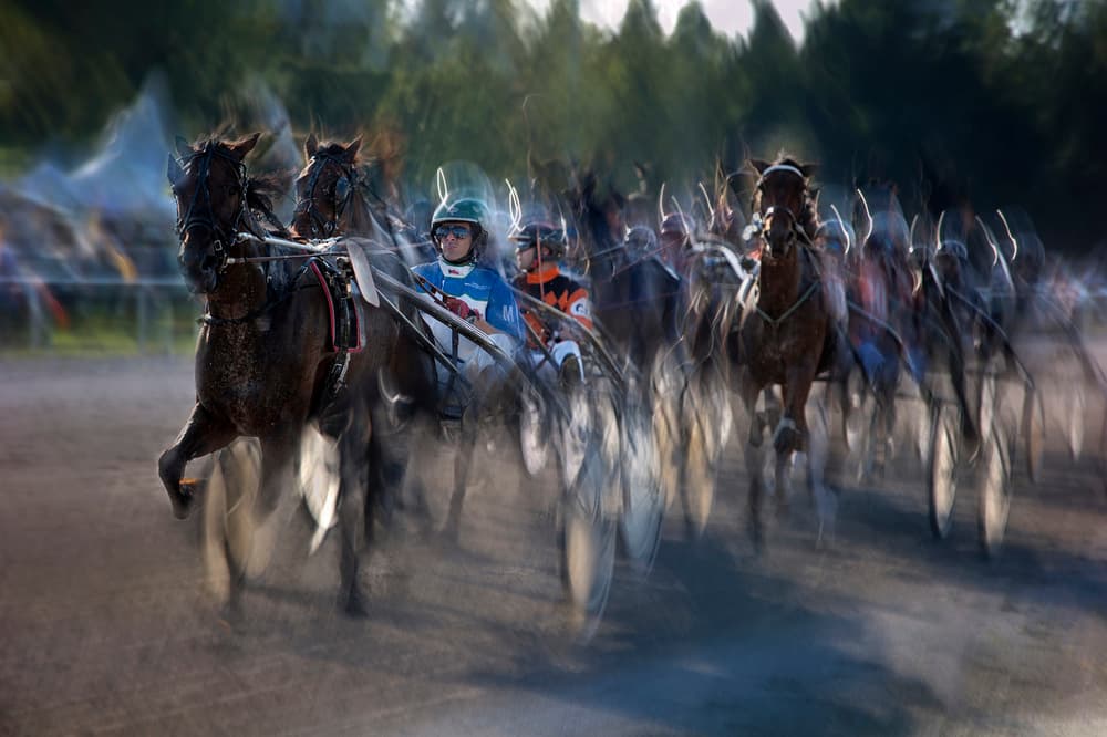 Dynamic Horse Racing by Milan Malovrh — canvas wall art