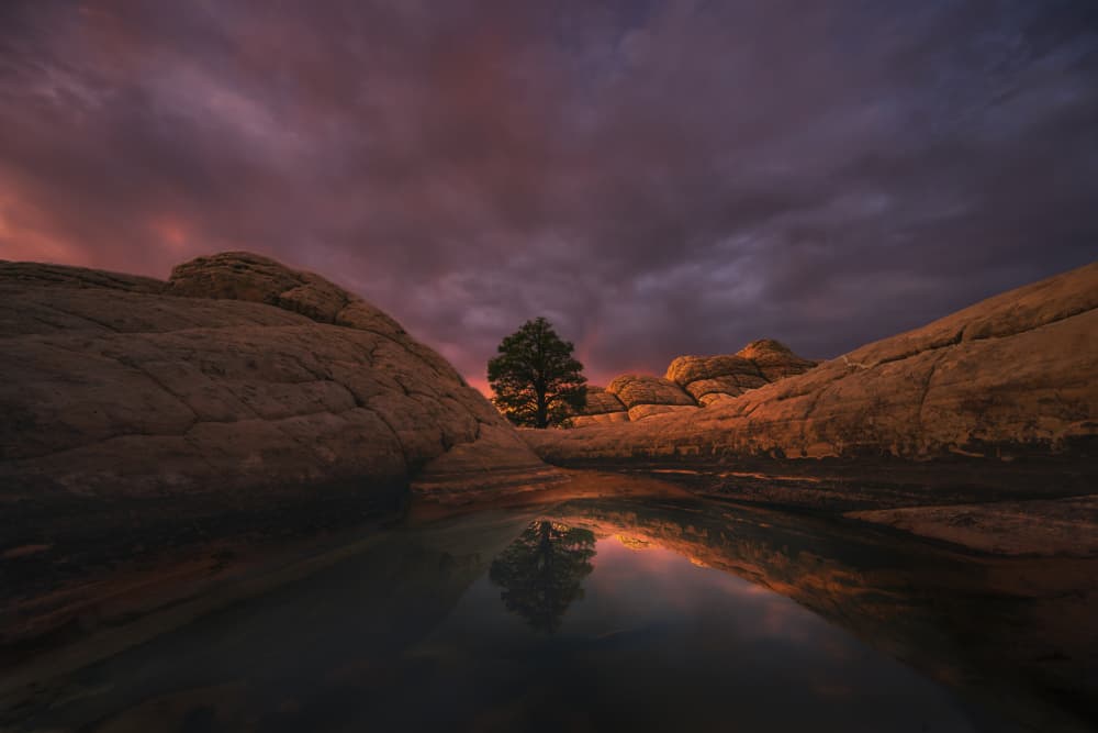 Twilight Desert Reflection by MIN LI — canvas wall art