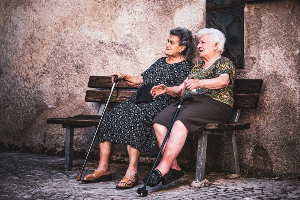Old Friends Talking by Marco Tagliarino — canvas wall art