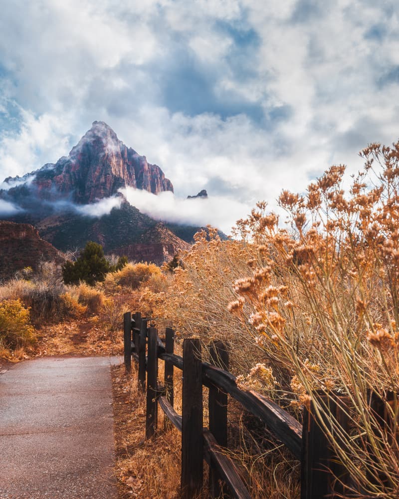 Misty Mountain Path by Syed Iqbal — canvas wall art