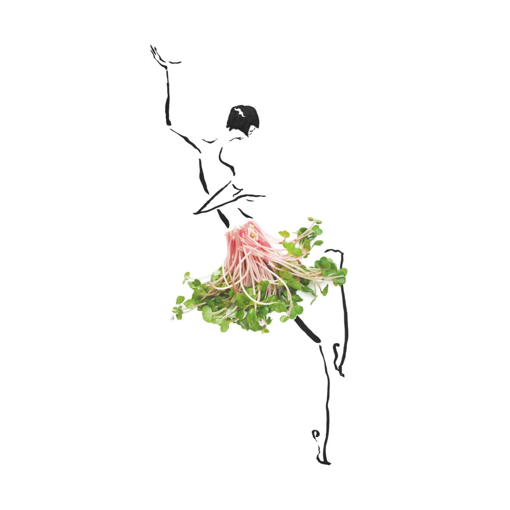 Sprout Ballerina Dance by Gretchen Roehrs — canvas wall art