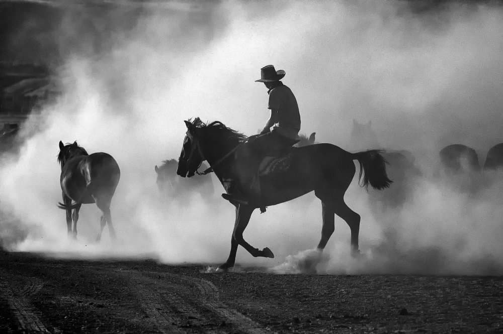 Dusty Cowboy Ride by Gilcan Mete — canvas wall art