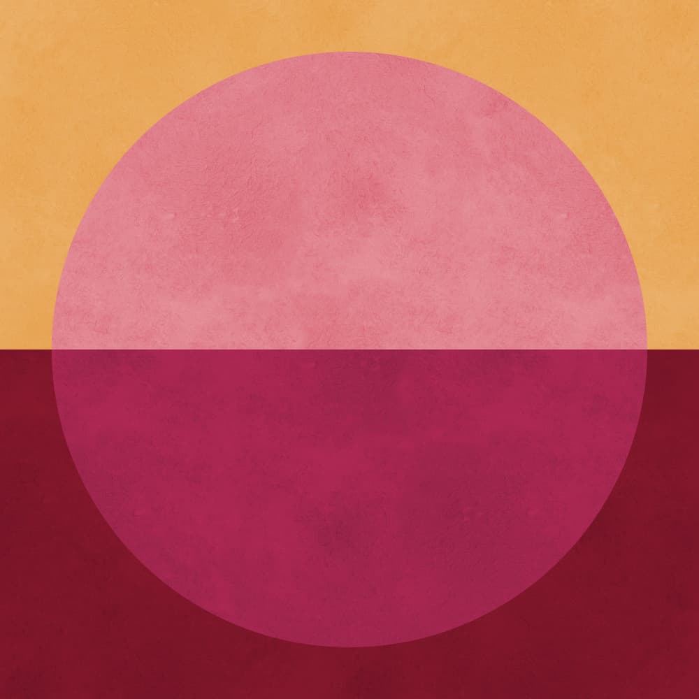 Pink Maroon Geometric Circle by Vitor Costa — canvas wall art