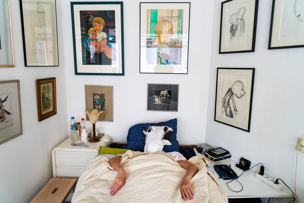 Cow Mask In Bed by Ton Dirven — canvas wall art