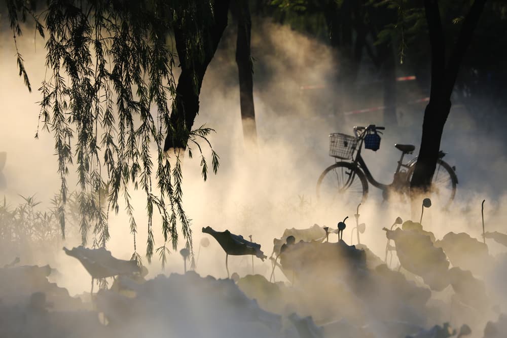 Misty Morning Bicycle by Adam Wong — canvas wall art