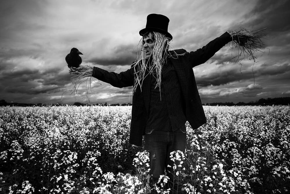 Moody Scarecrow with Crow by mario grobenski - psychodaddy — canvas wall art