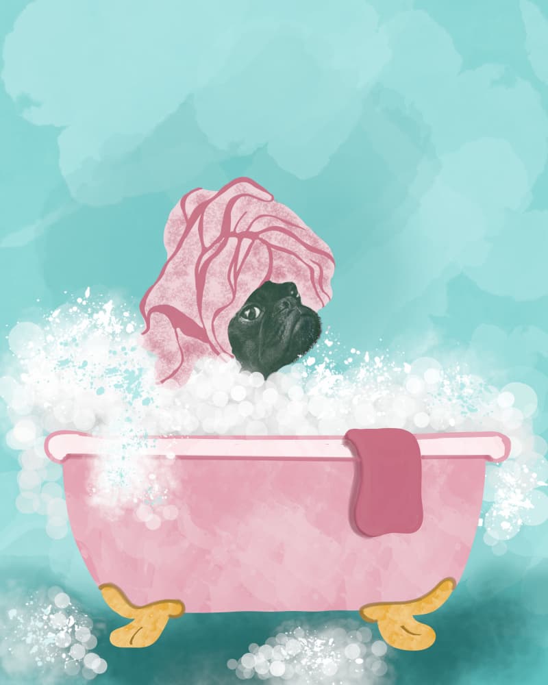 Pampered Pug Bath by Sannel Larson — canvas wall art