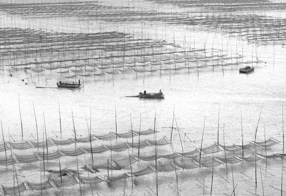 Serene Sea Farm by Angela Muliani Hartojo — canvas wall art