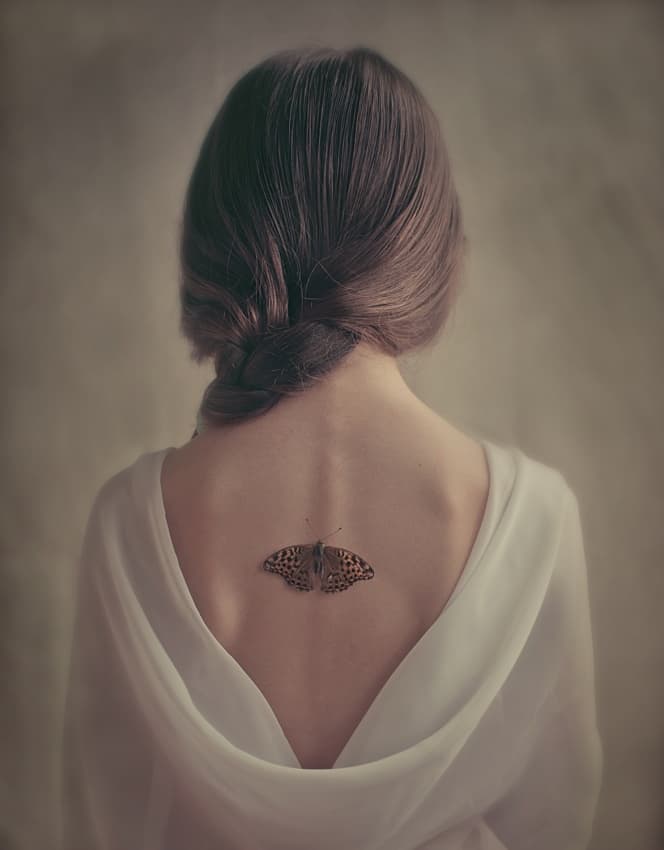 Graceful Butterfly Portrait by Svetlana Bekyarova — canvas wall art