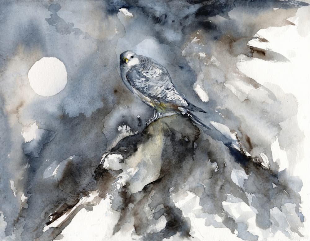 Moonlit Falcon Watch by RodMacIver — canvas wall art