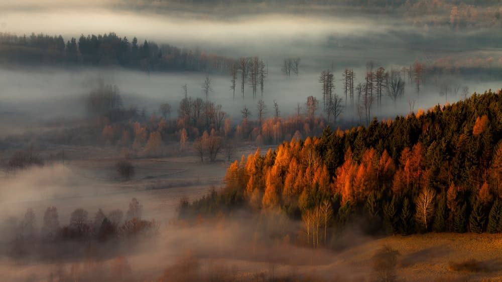 Misty Autumn Valley by Izabela Laszewska-Mitrega / Darek Mitręga — canvas wall art