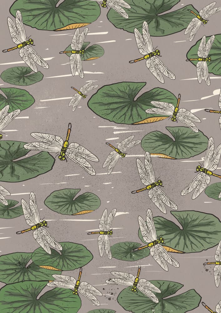 Pond Dragonflies and Lily Pads by Nicholas — canvas wall art