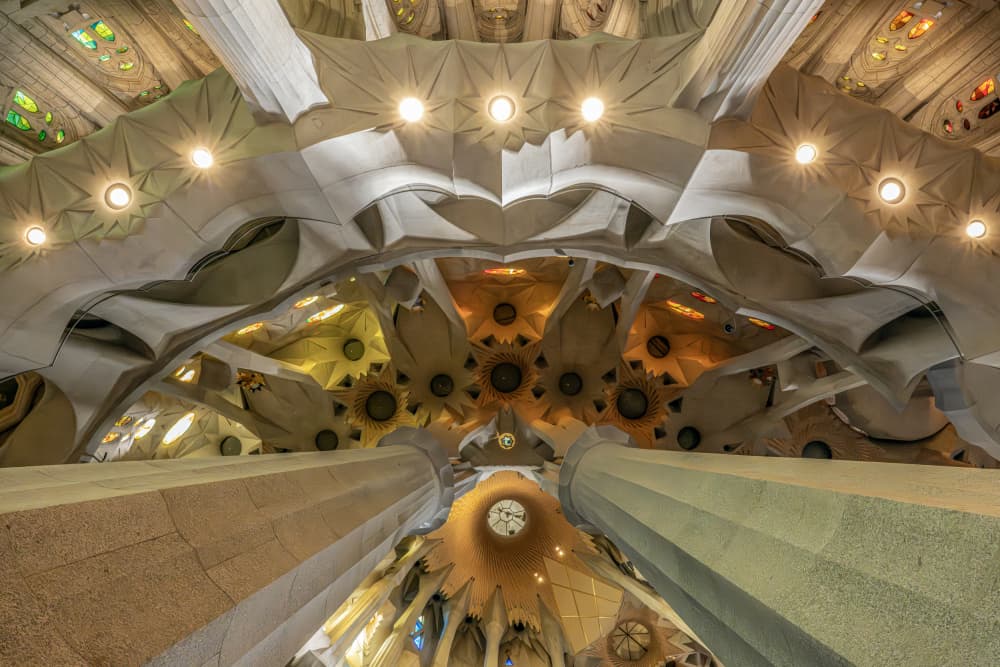 Organic Cathedral Vaults by Linda Wride — canvas wall art