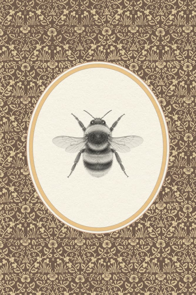 Vintage Bumblebee Illustration by Wild Violets — canvas wall art