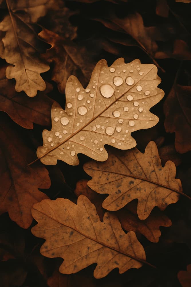 Autumnleafs by Treechild — canvas wall art