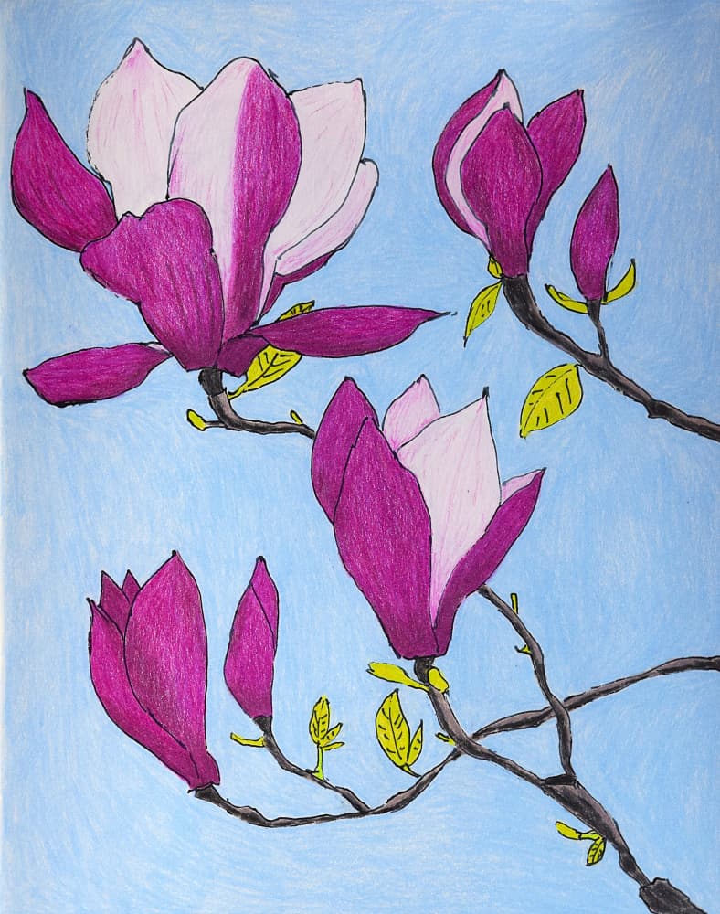 Purple Magnolia Blossoms by Viktoriia Saunina — canvas wall art