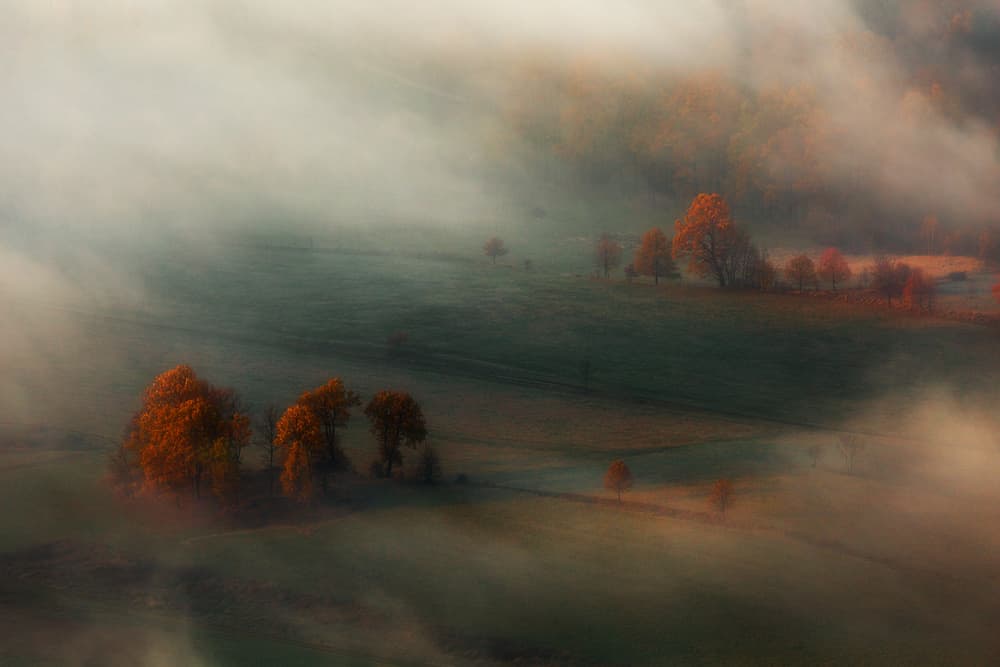 Misty Autumn Landscape by Izabela Laszewska-Mitrega / Darek Mitręga — canvas wall art