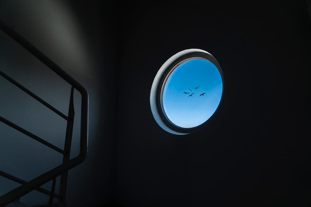 Birds Through Porthole by Fatma GÖKMEN — canvas wall art