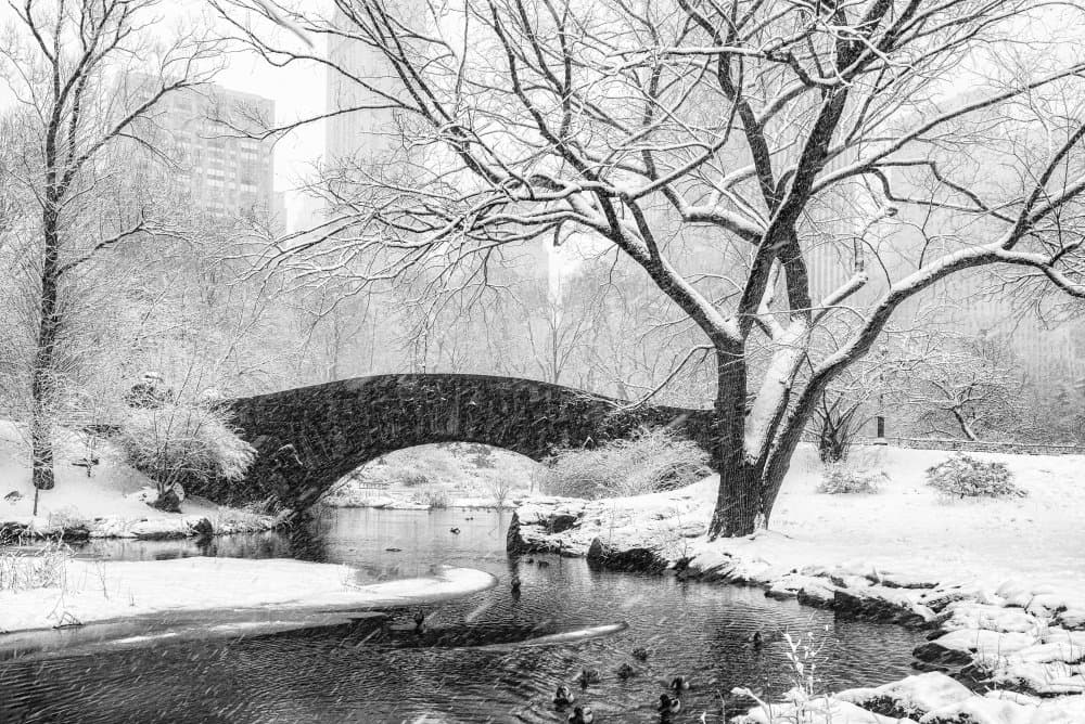 Snowy Central Park Bridge by Alice Sheng — canvas wall art