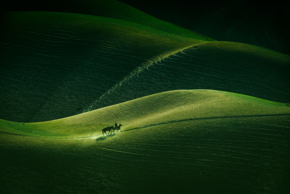 Horses on Rolling Hills by May G — canvas wall art