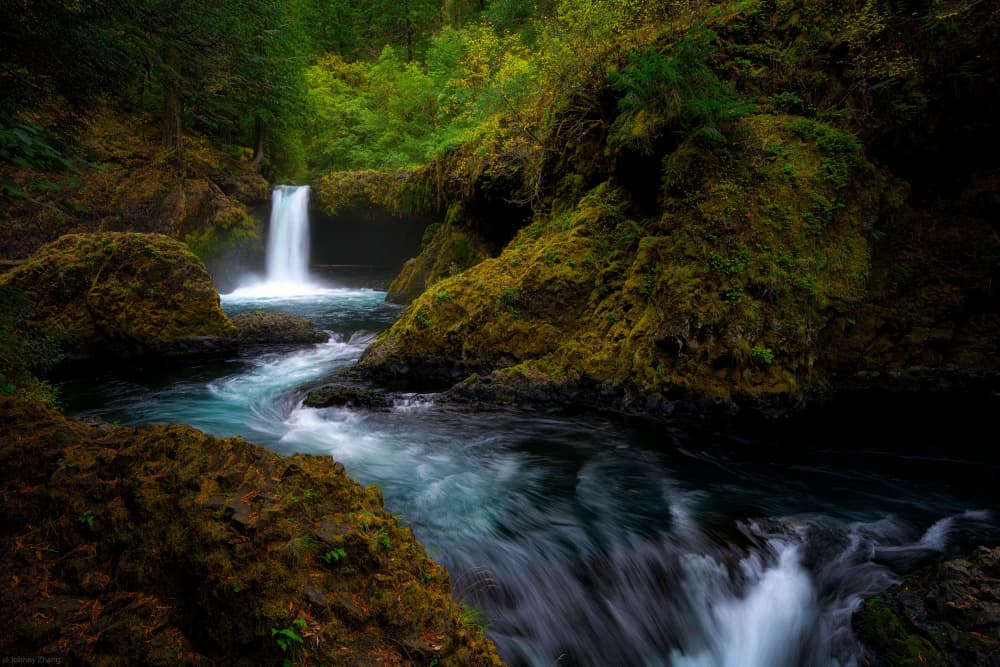 Tranquil Forest Waterfall by Johnny Zhang — canvas wall art