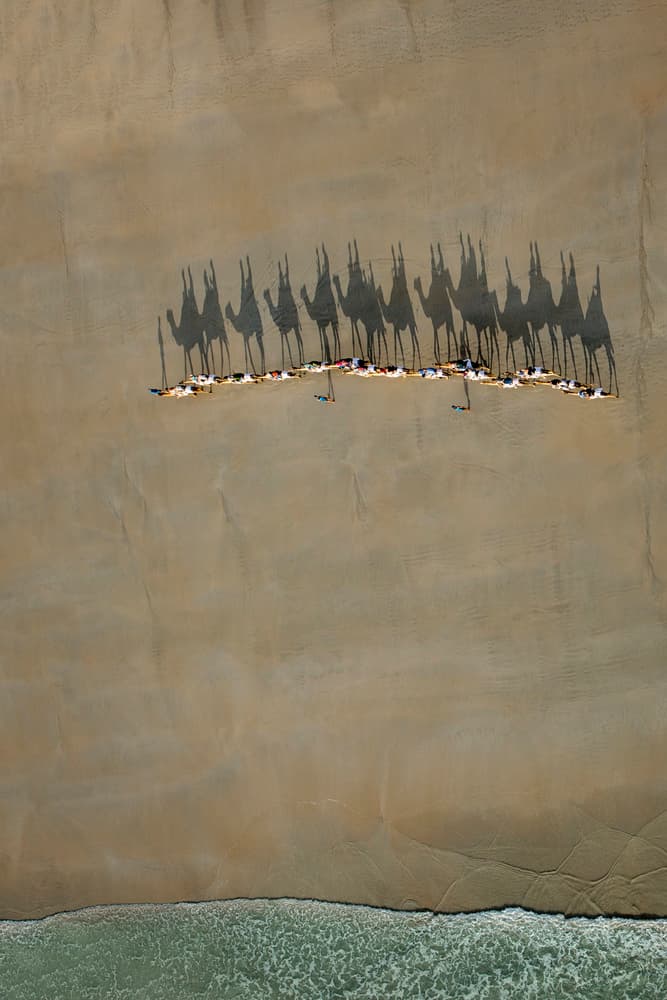 Long Camel Shadows Beach by Renee Doyle — canvas wall art